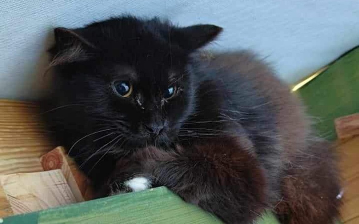 Zbiórka Nowy DOM Nowe LEPSZE ŻYCIE - zdjęcie główne