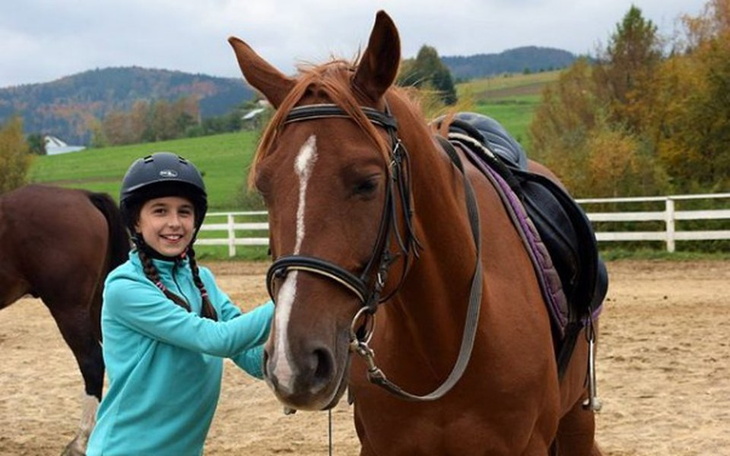 Zbiórka Rozwój jeździeckich marzeń - zdjęcie główne
