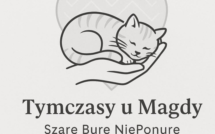 Logo schroniska dla kotów, z rysunkiem śpiącego kota.