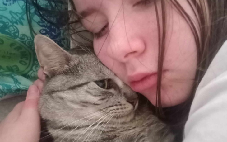 Zbiórka Leczenie kota Zbynia - zdjęcie główne