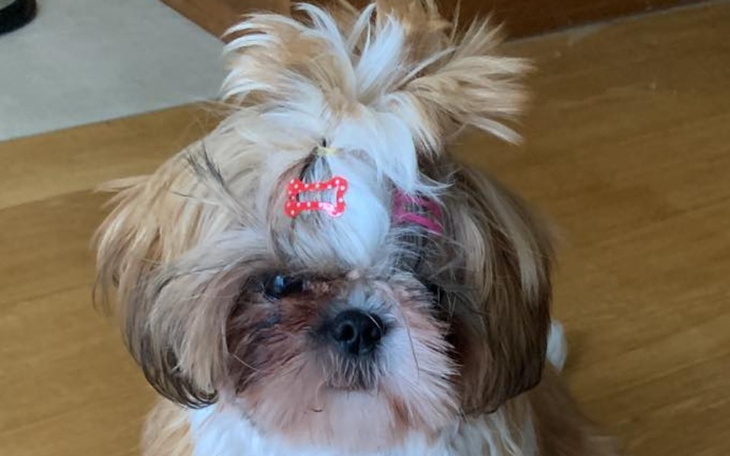 Zbiórka Na operację oczek Bezy - zdjęcie główne