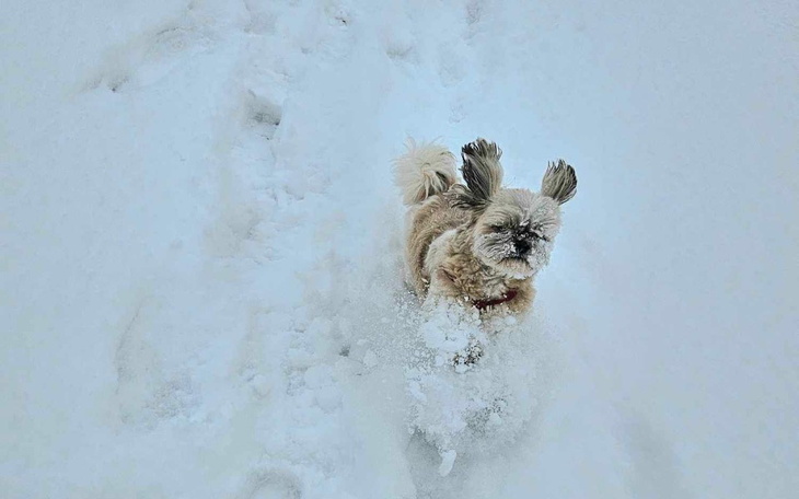 Zbiórka Mikołajowa zbiórka - zdjęcie główne
