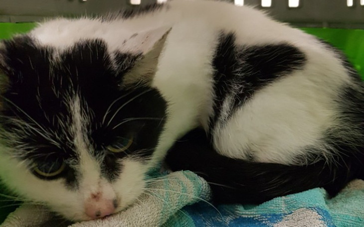 Zbiórka Sandra - zdjęcie główne