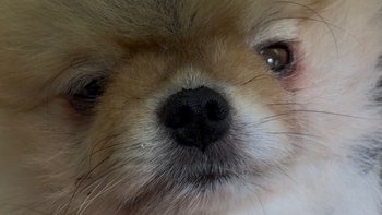 Zbiórka Wyniszczona Zuza - miniaturka zdjęcia