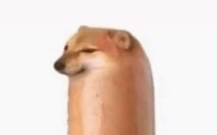 Zbiórka touya kinomoto cosplay pliska - zdjęcie główne