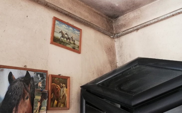 Zbiórka normalny dom bez grzyba i pleśni - zdjęcie główne