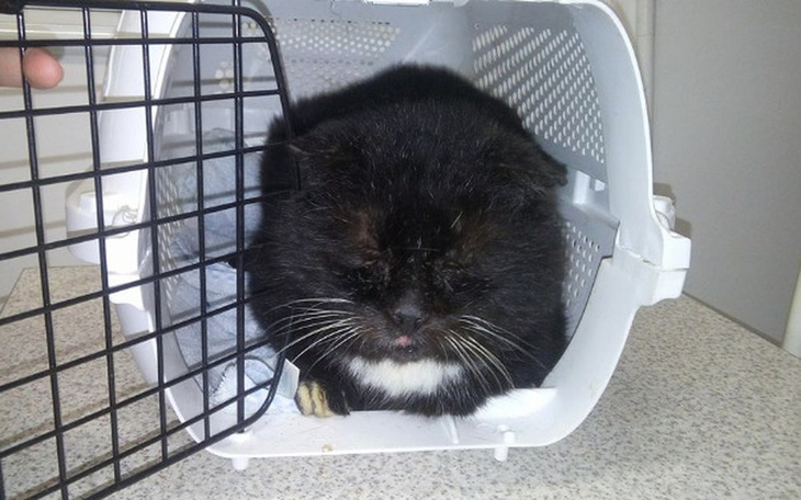 Zbiórka przeTRWAĆ ciężki czas - zdjęcie główne