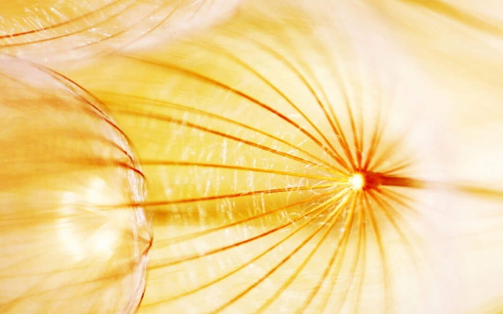 Zbiórka Dla wujka proteza nogi - zdjęcie główne