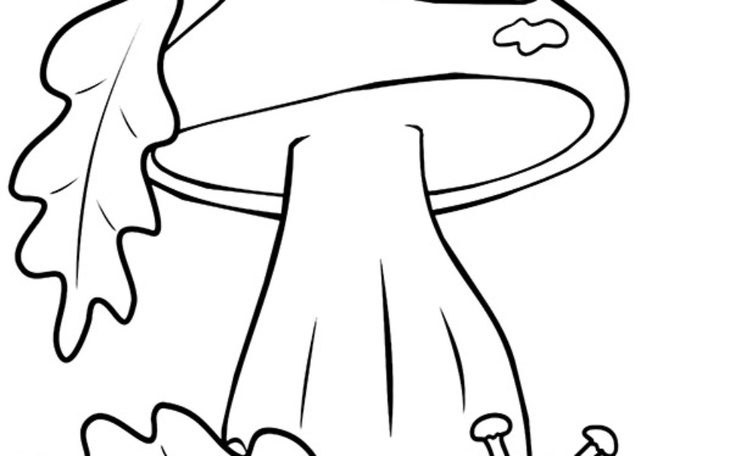 Zbiórka Pilna opreracja - zdjęcie główne