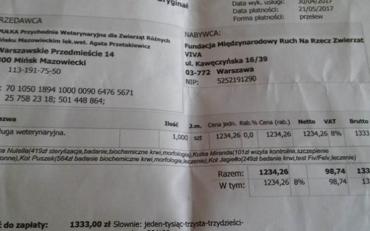 Zbiórka Leczenie kotów - ponad tysiąc zł - zdjęcie główne