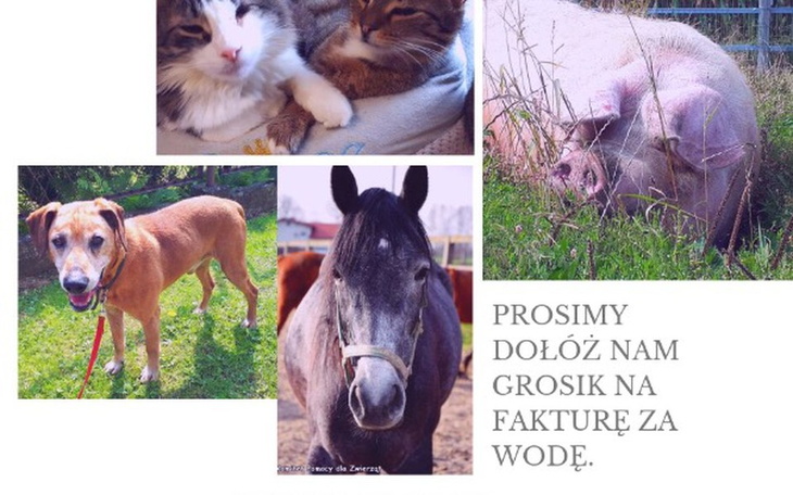 Zbiórka Kolejna spora faktura za wodę - zdjęcie główne