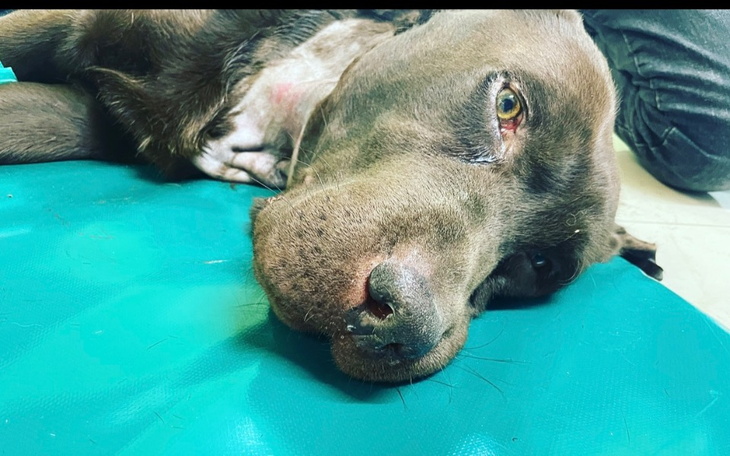 Zbiórka Justyna Oleksy - zdjęcie główne