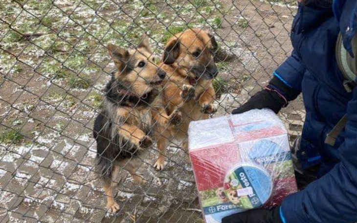 Zbiórka Sio kleszcze - zdjęcie główne