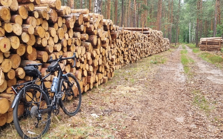 Zbiórka Podróż rowerem dookoła Polski - zdjęcie główne