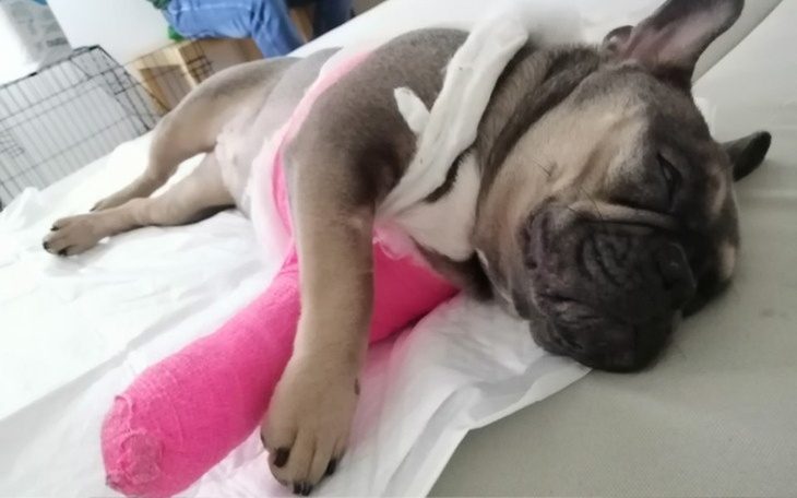 Zbiórka Uratujmy BULDOŻKA - zdjęcie główne