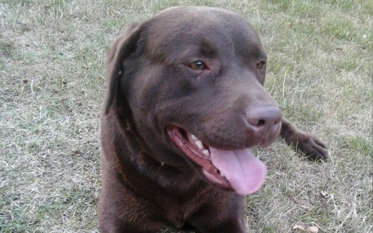 Zbiórka Kolano dla IDOLA - zdjęcie główne