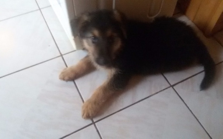 Zbiórka Szkolenie dla Django - zdjęcie główne