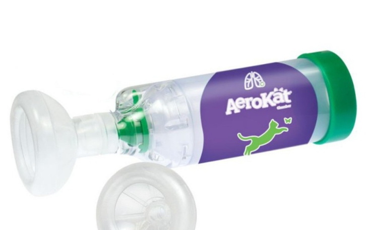 Zbiórka Zakup inhalatora dla koteczki z - zdjęcie główne