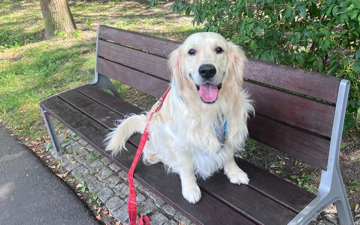 Zbiórka Karmelek potrzebuje operacji - zdjęcie główne