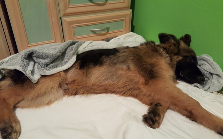 Zbiórka Operacja Rubina - zdjęcie główne