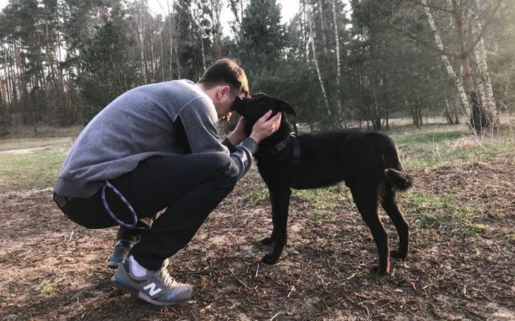 Zbiórka Skarbonka 4 łap z Krajny - zdjęcie główne