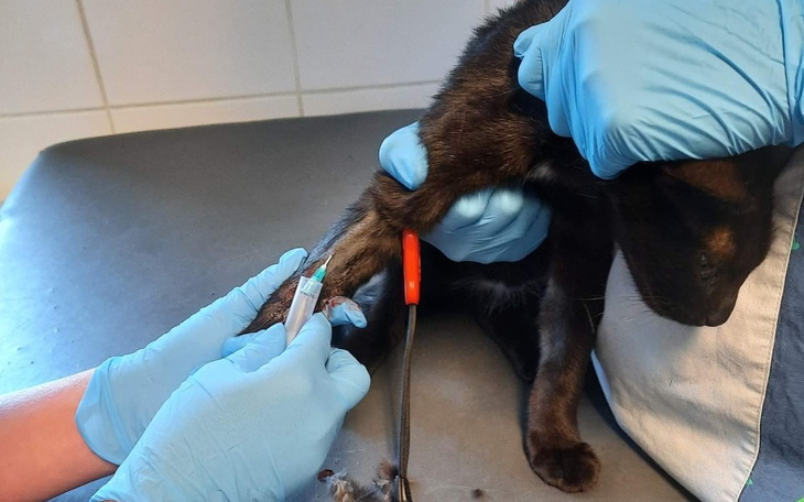 Zbiórka Nie możemy przegrać... - zdjęcie główne