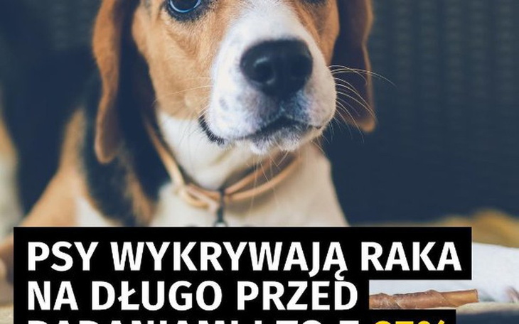 Zbiórka re.re - zdjęcie główne