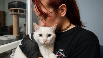 Zbiórka Jeszcze jeden kot - miniaturka zdjęcia