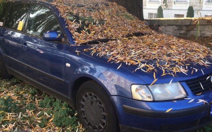 Zbiórka Zbieram na nowego Passata ! - zdjęcie główne