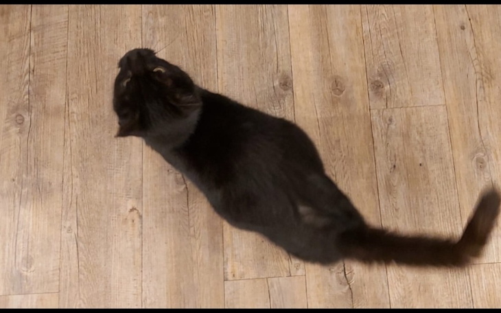 Zbiórka Rózia chce walczyć. Pragnie żyć. - zdjęcie główne