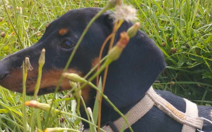 Zbiórka OPERACJA dla Mateuszka - zdjęcie główne