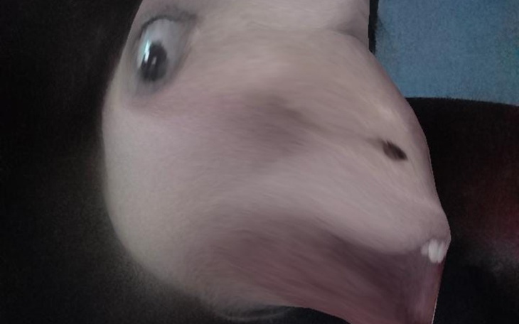 Zbiórka zalegle amelienty bo stary zly - zdjęcie główne