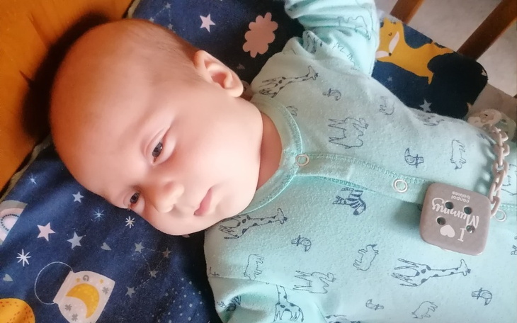 Zbiórka Potrzebuję na wunajem mieszkania - zdjęcie główne