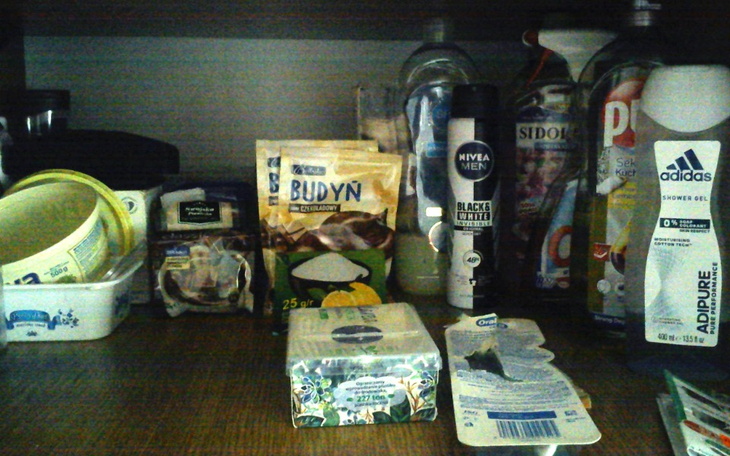 Zbiórka Stawiamy na nogi - zdjęcie główne