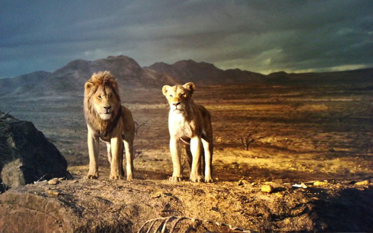 Zbiórka hakuna mathata - zdjęcie główne