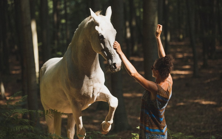 Zbiórka Wsparcie dla Wichra - zdjęcie główne