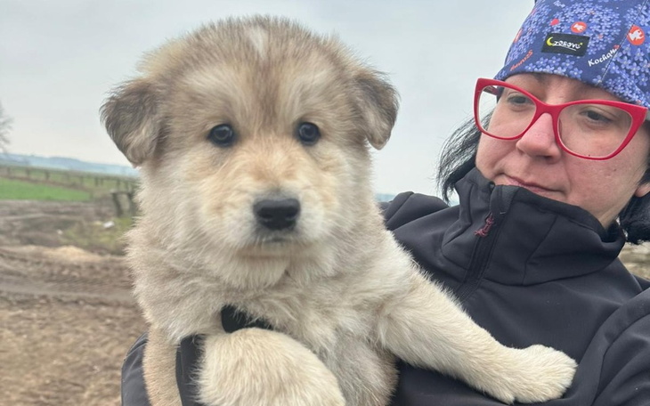 Zbiórka Ratunek z podlasia - zdjęcie główne