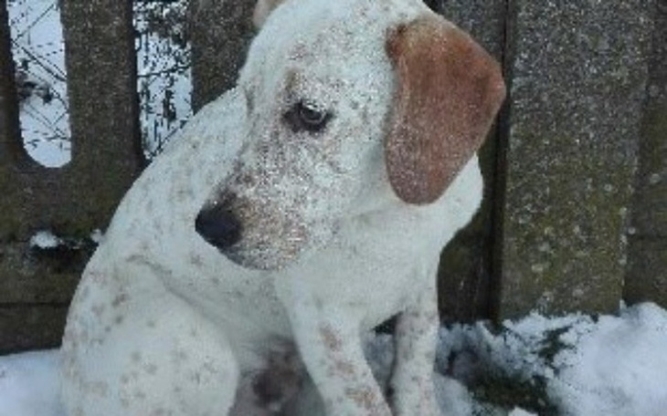 Zbiórka MÓGŁ ZAMARZNĄĆ-Potrzebna POMOC ! - zdjęcie główne