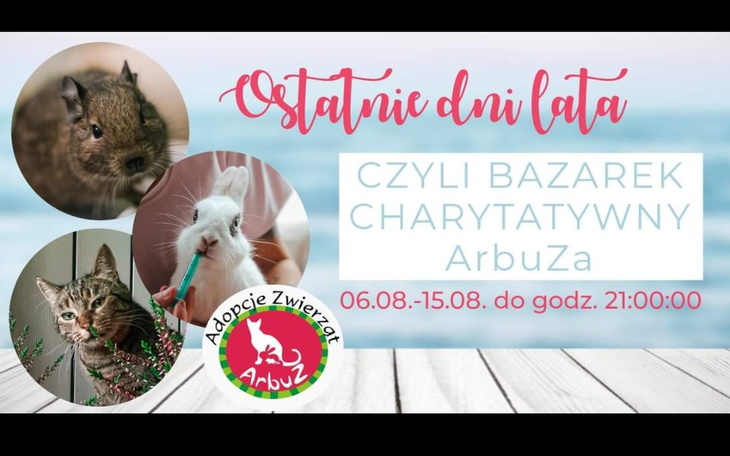 Zbiórka Bazarek ostatnie dni lata - zdjęcie główne
