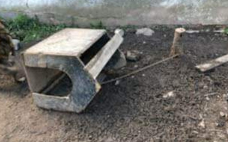 Zbiórka Na budę dla psa z interwencji - zdjęcie główne