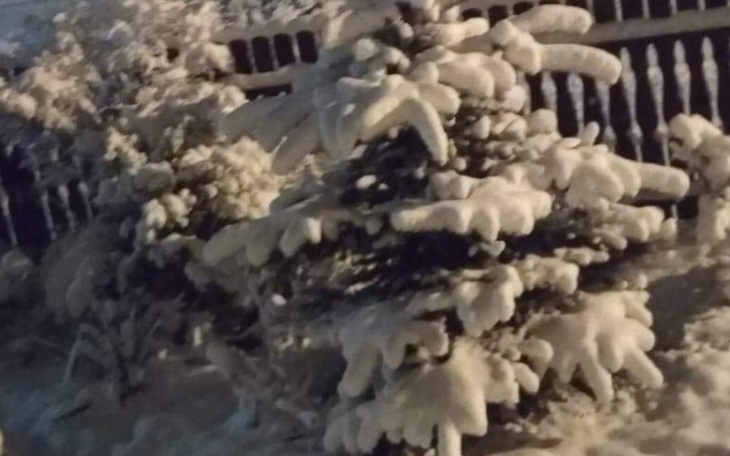 Zbiórka Na święta . - zdjęcie główne