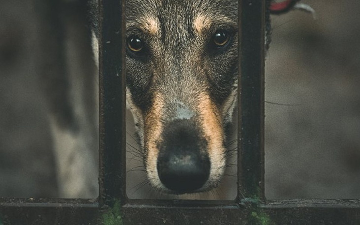 Zbiórka Sorry - gdzie twój dom? - zdjęcie główne