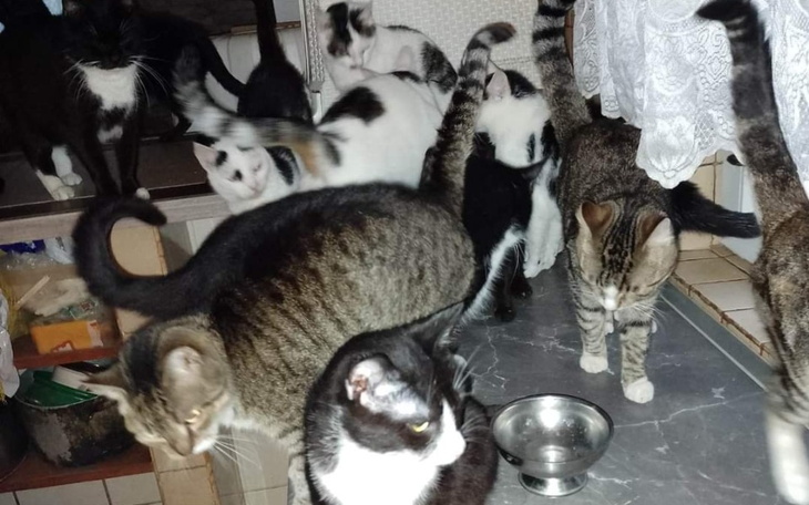 Zbiórka Jedyna skuteczna walka - zdjęcie główne