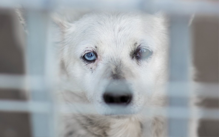 Zbiórka CIEPŁA BUDA przed zimą - zdjęcie główne