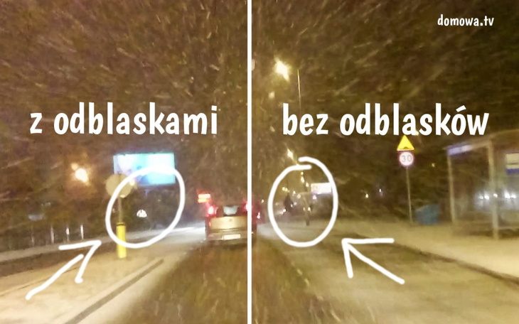 Zbiórka Bezpieczeństwo Drogowe - zdjęcie główne