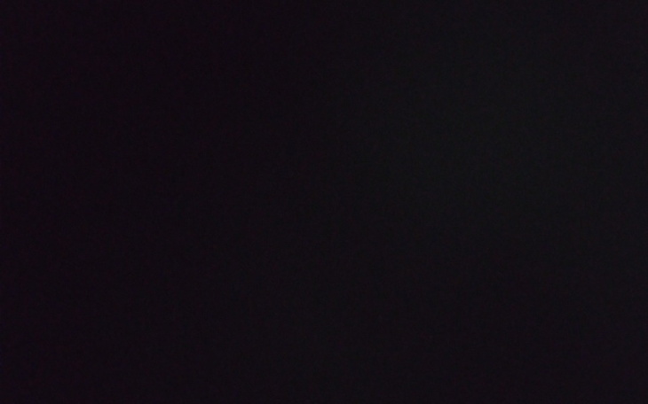 Zbiórka Na pomoc zwierzętą z ukrainy - zdjęcie główne