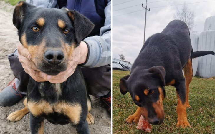 Zbiórka Bruno z pod Łukowa - zdjęcie główne