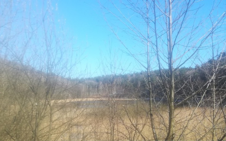 Zbiórka Remont...... - zdjęcie główne