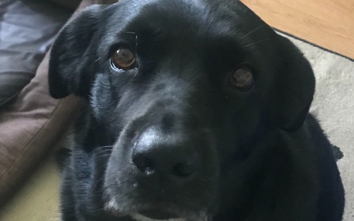 Zbiórka Pomoc dla Abi - zdjęcie główne