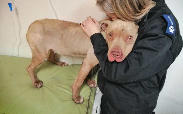 Zbiórka Zagłodzone i zapomniane... - zdjęcie główne